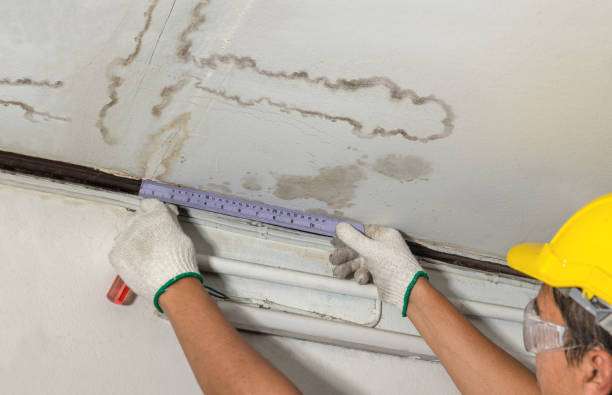 Reliable Water Damage contractor in Pompeii, MI by Water Damage Irwin